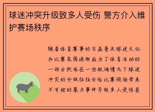 球迷冲突升级致多人受伤 警方介入维护赛场秩序